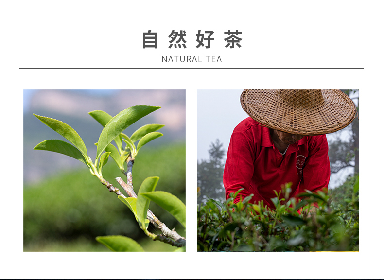 侯_06.jpg