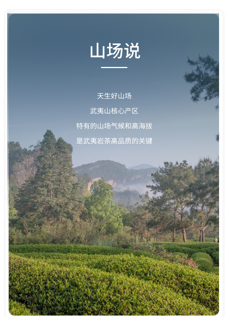 王_05.jpg