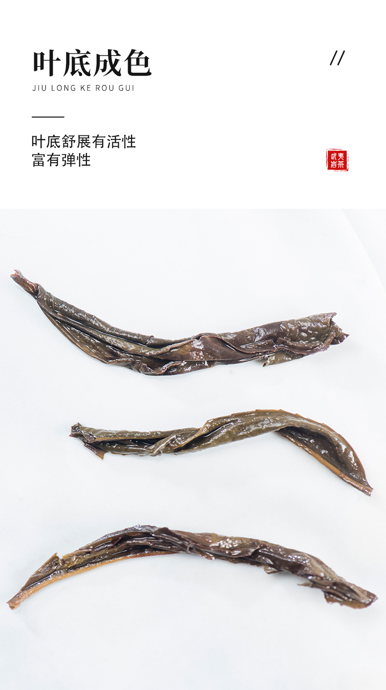王_10.jpg