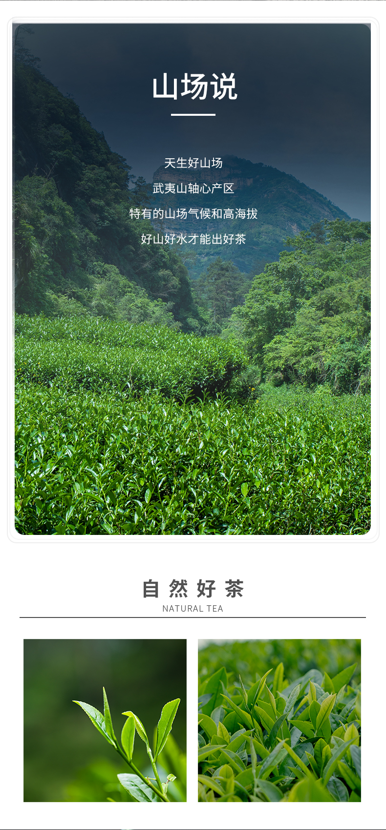 牛牛12·肉桂簡裝_05.jpg