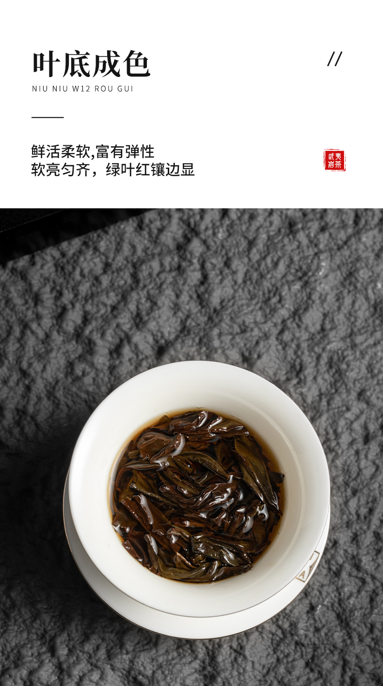 牛牛12·肉桂簡裝_09.jpg