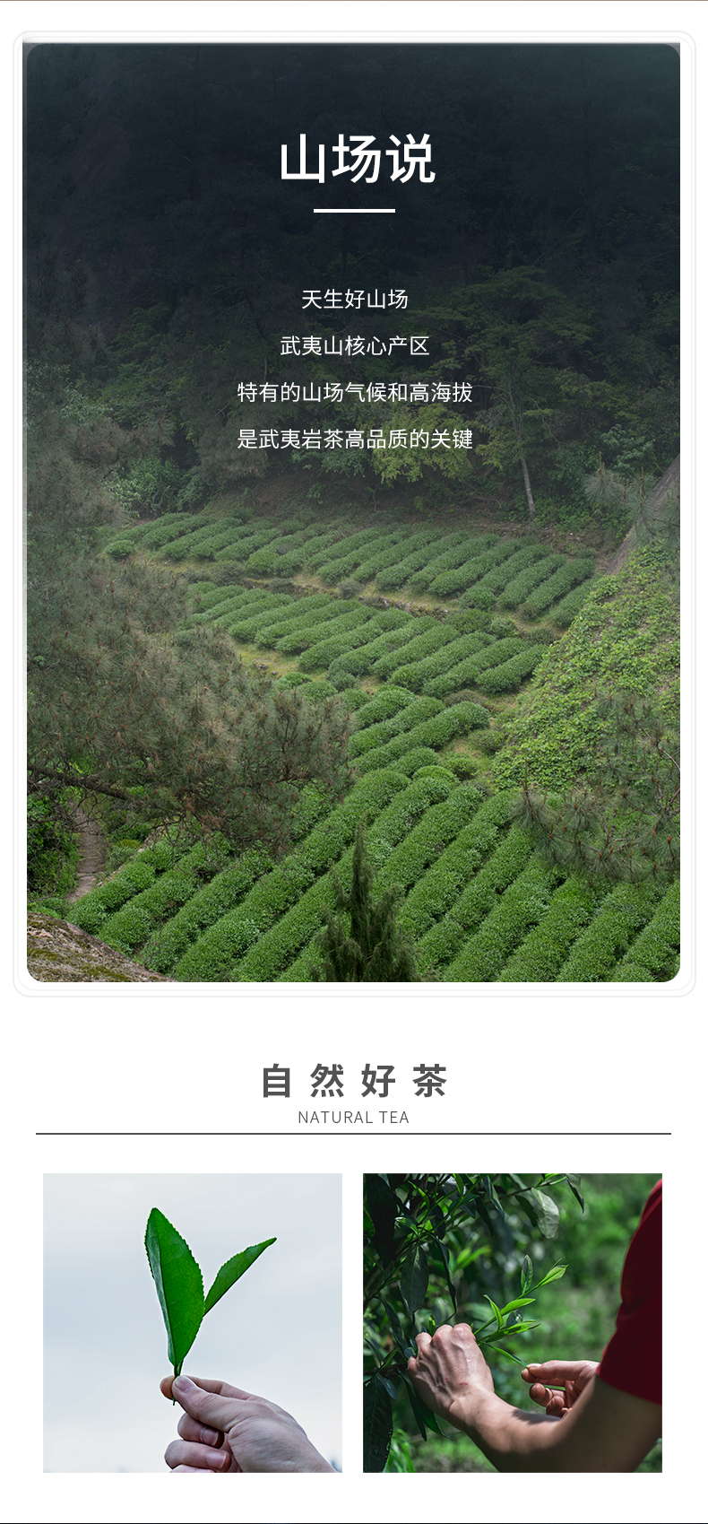 牛牛5800_05.jpg