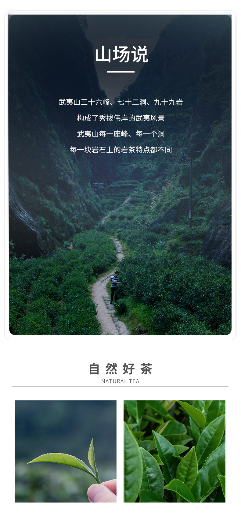 牛牛5800老樅水仙簡裝_05.jpg
