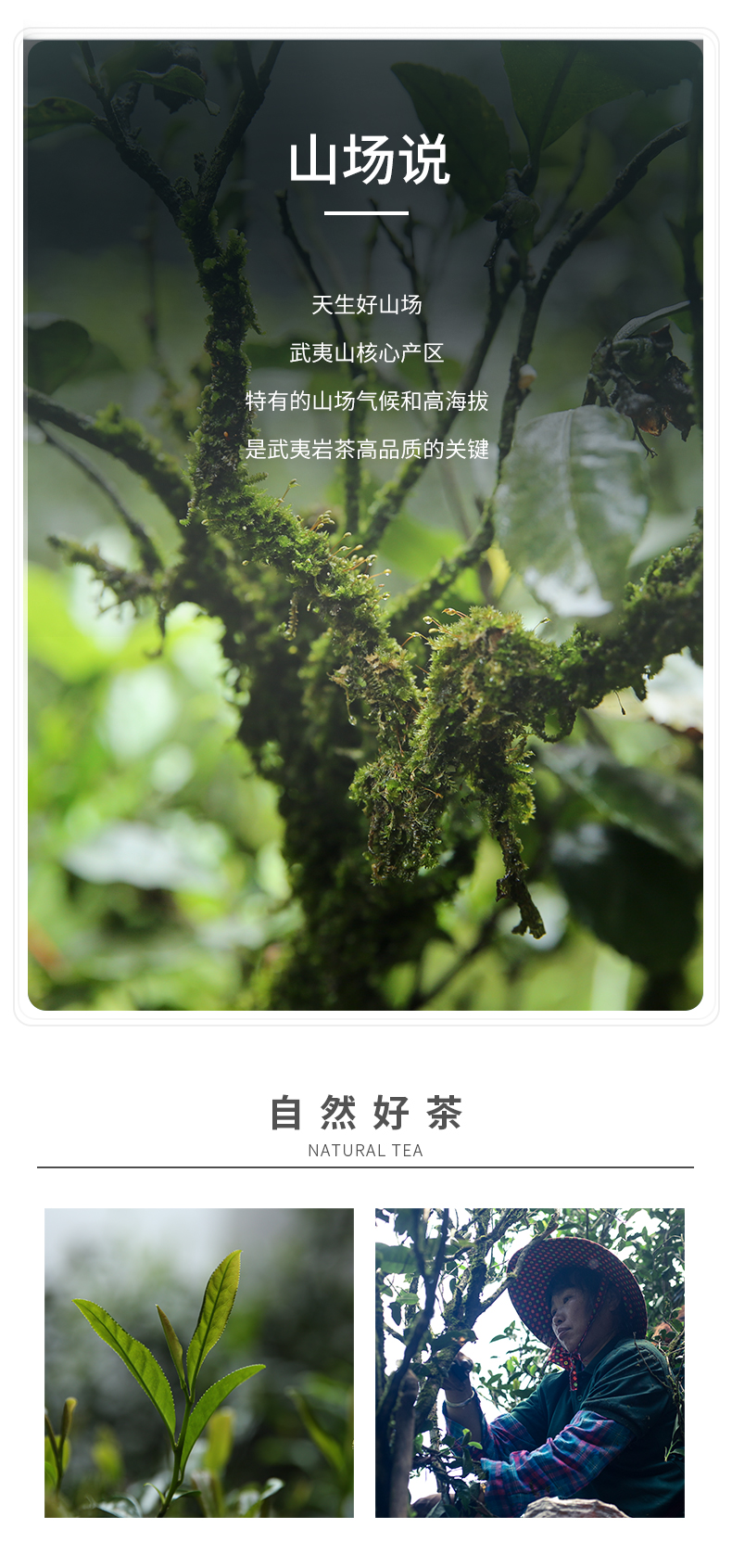 牛牛簡裝3600_05.jpg