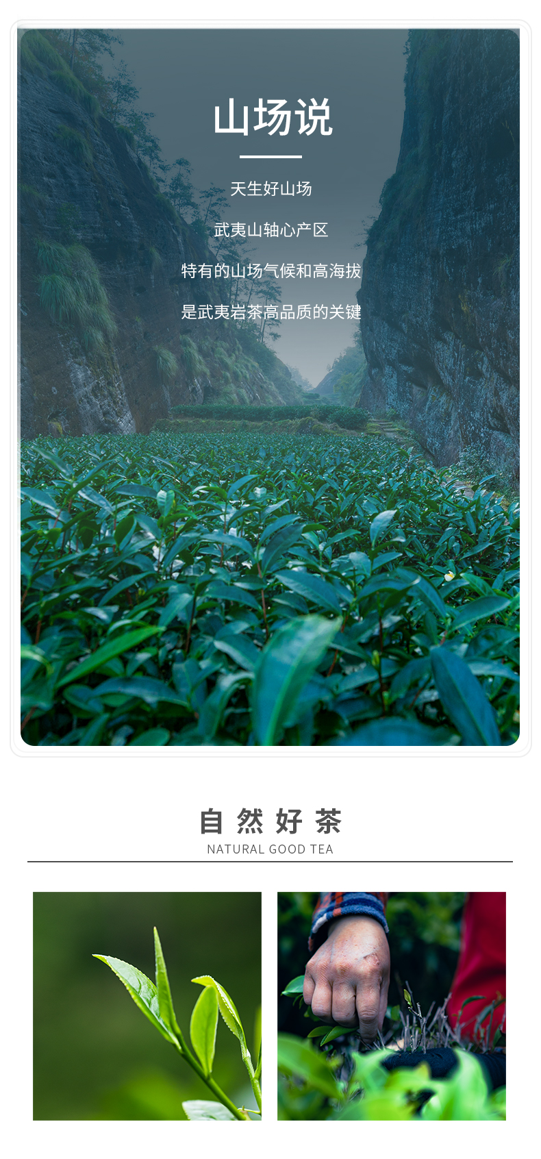 肉桂王_05.jpg