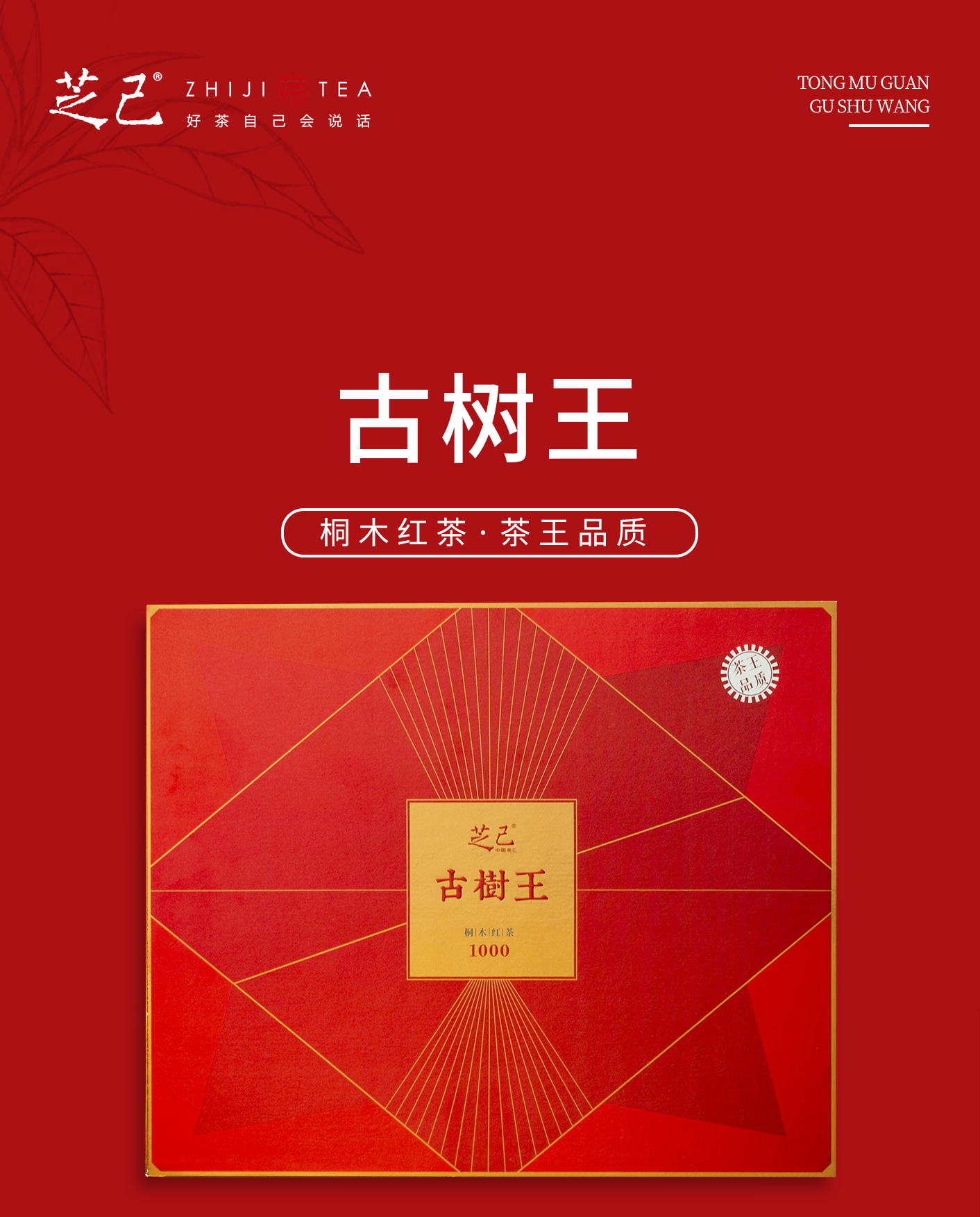 古樹王_01.jpg