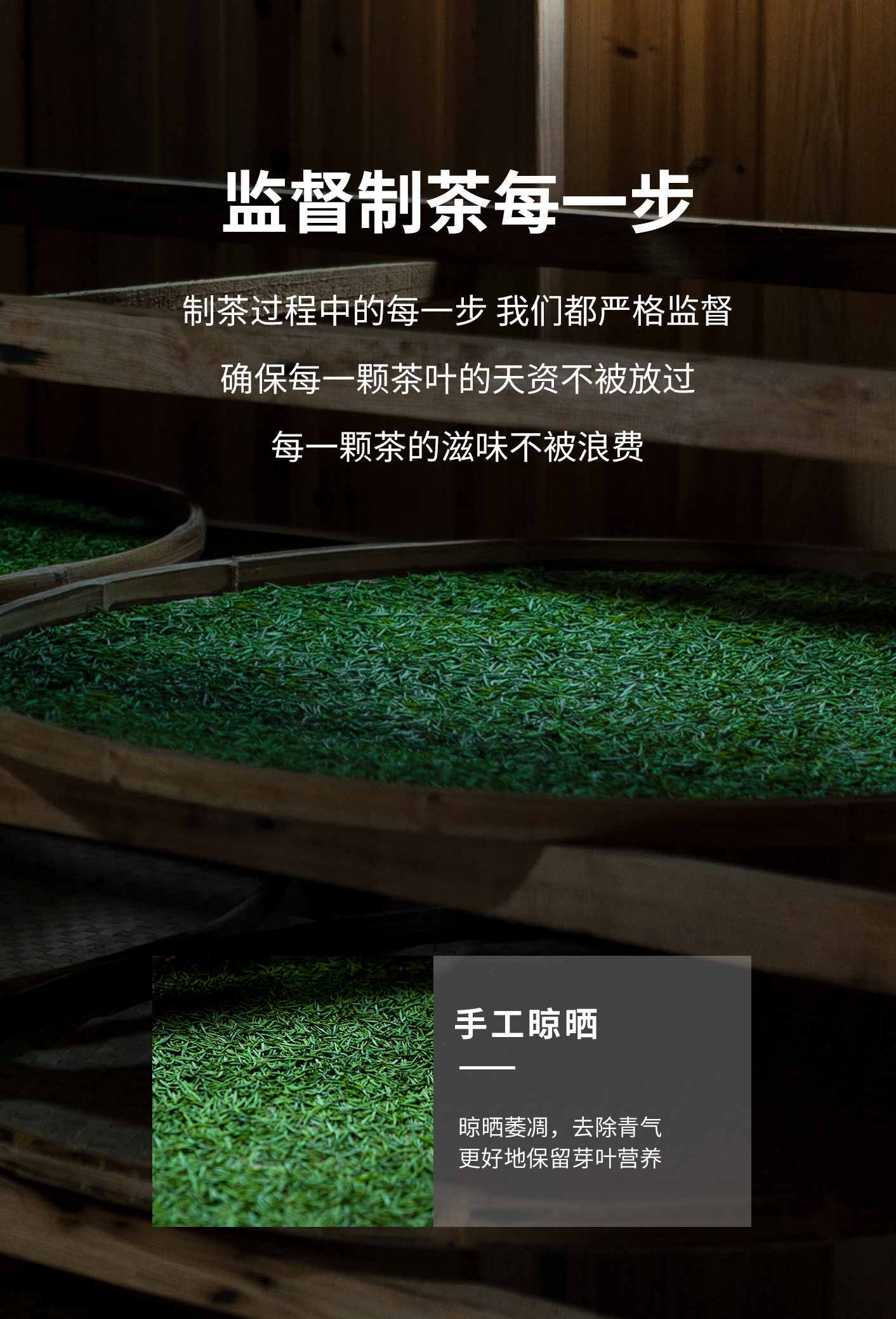 古樹王_07.jpg