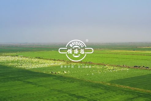 备得福榨菜品牌片