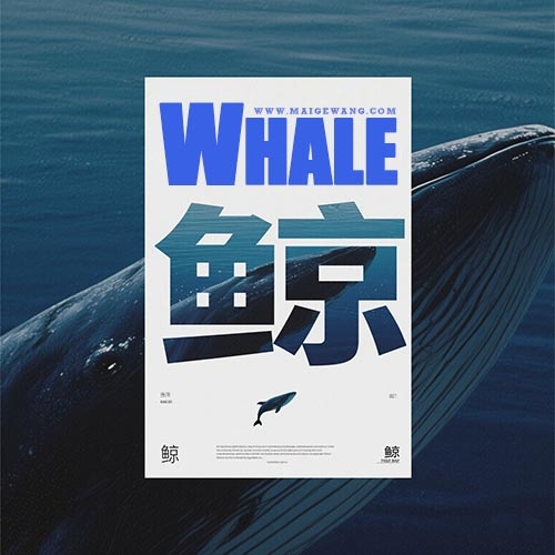 鲸