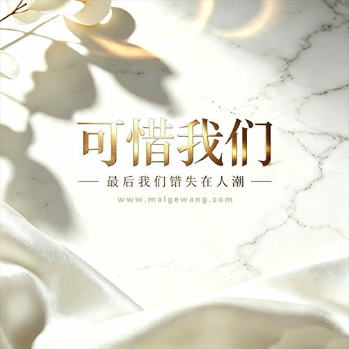 可惜我们