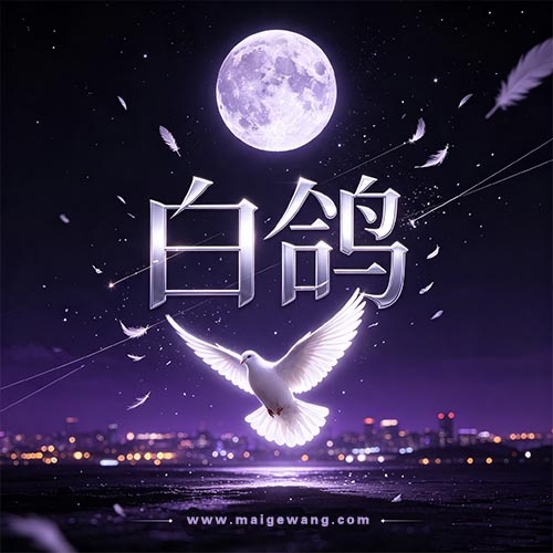 白鸽
