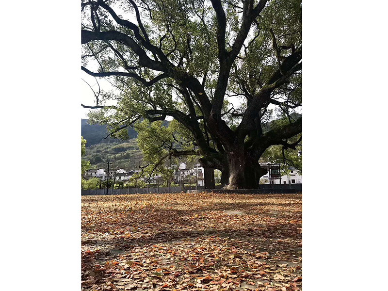 写生景点