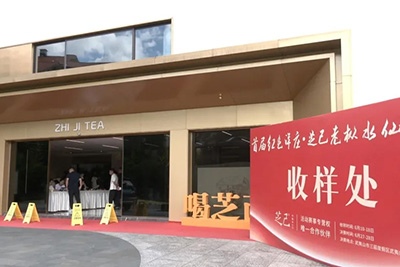 老枞水仙斗茶赛 以赛兴茶助振兴